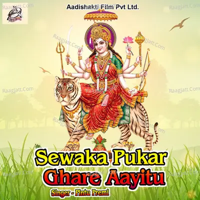 Sewaka Pukar Ghare Aayitu Cover