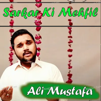 Ali Mustafa