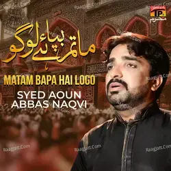 Syed Aoun Abbas Naqvi