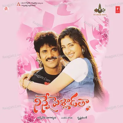 Ninne Pelladatha Full Story Cover