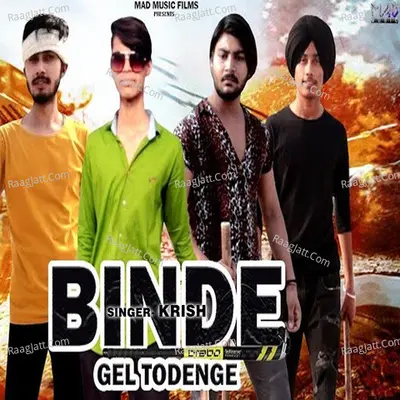 Binde Gel Todenge Cover