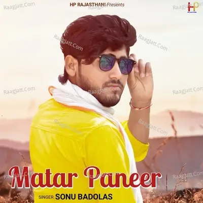 Matar Paneer Cover