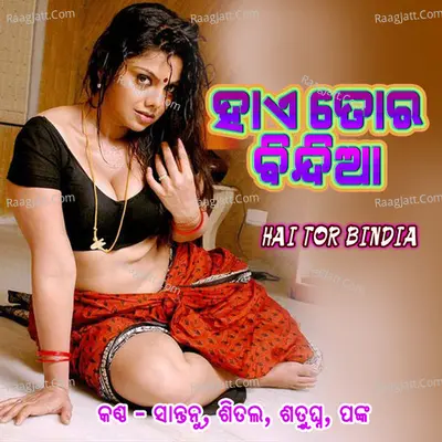 Hai Tor Bindia Poster
