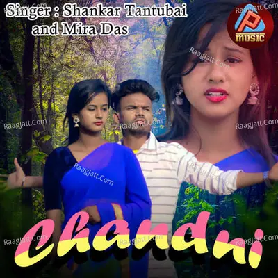Chandni Cover