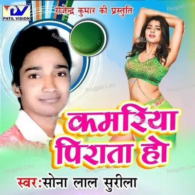 Kamriya Pirata Ho - Poonam Pandey