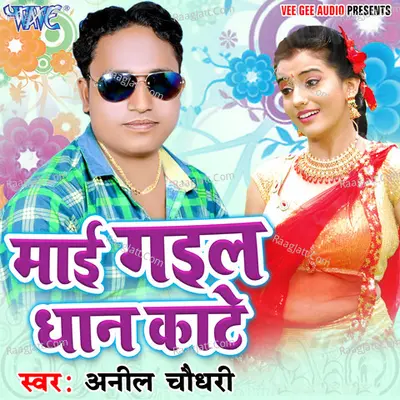 Mai Gail Dhaan Kate - Anil Chaudhry
