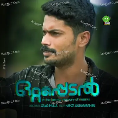 Hamza Valiyaparambu