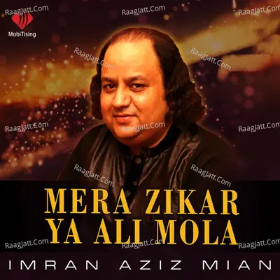 Imran Aziz Mian Image