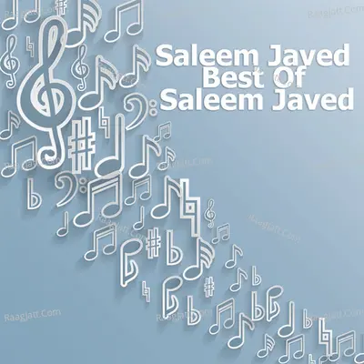 Best of Saleem Javed Poster