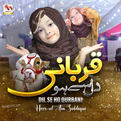Hoor Ul Ain Siddiqui Image