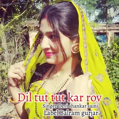 Dil tut tut kar rov Cover