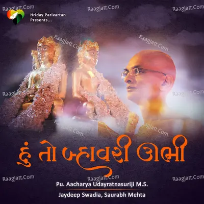 Hu To Bawaree Ubhi Cover