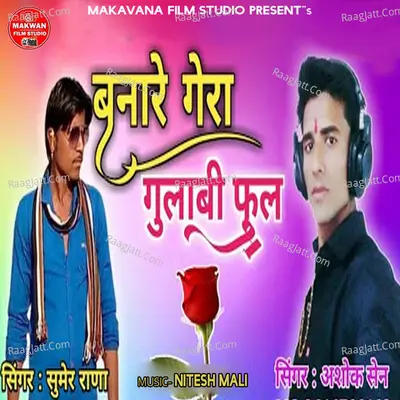 Banare Gora Gulabi Phul