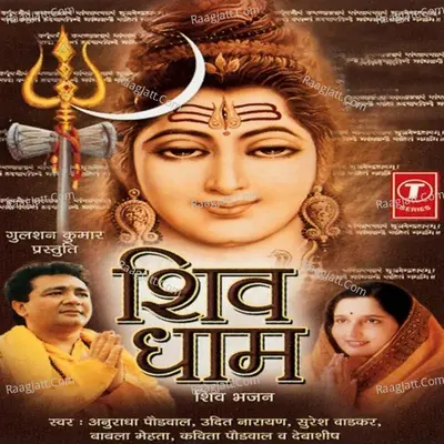 Shiv Dhaam - Anand Raj Anand
