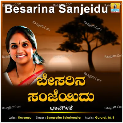 Besarina Sanjeidu - Single Cover