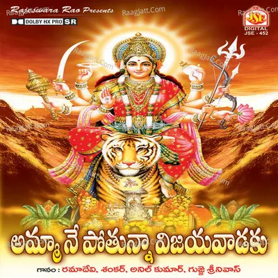 Amma Nenu Pothunna Vijayavadaku - Anilkumar