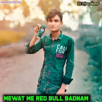 Mewat Me Red Bull Badnam Cover