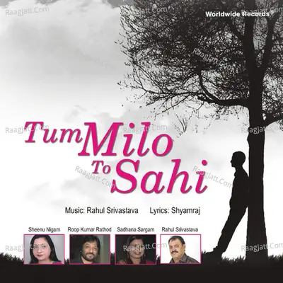 Tum Milo To Sahi Poster