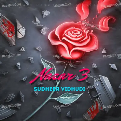 Sudheer Vidhudi Image
