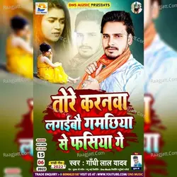 Tore Karanwa Lagaibou Gamchiya Se Fasiya Ge