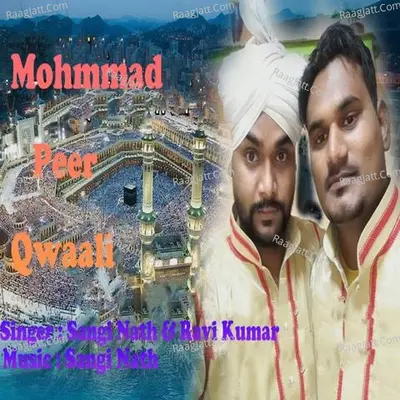 Mohmmad Peer Qwaali