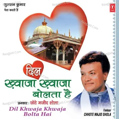 Dil Khwaja Khwaja Bolta Hai - Chhote Majid Shola