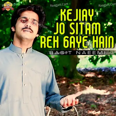 Kejiay Jo Sitam Reh Gaye Hain Poster