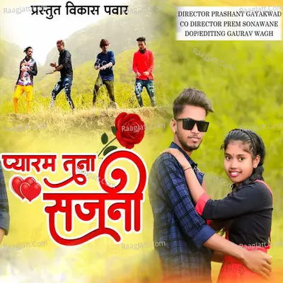 Pyar M Tuna Sajani Cover