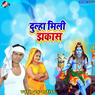 Hanuman ji ke pooja karu he Poster