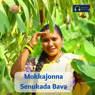 Mokkajonna Senukada Bava