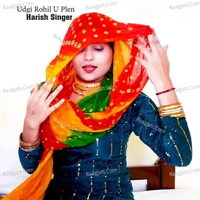 Udgi Rohil U Plen Cover