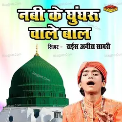 Nabi Ke Ghungharu Wale Bal