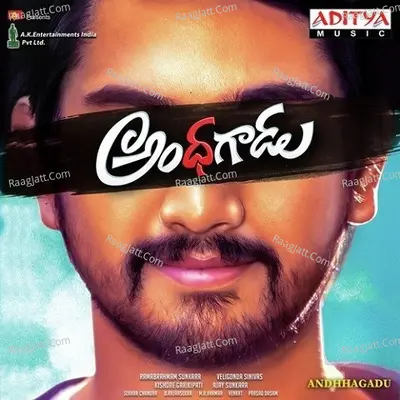 Andhhagadu Poster