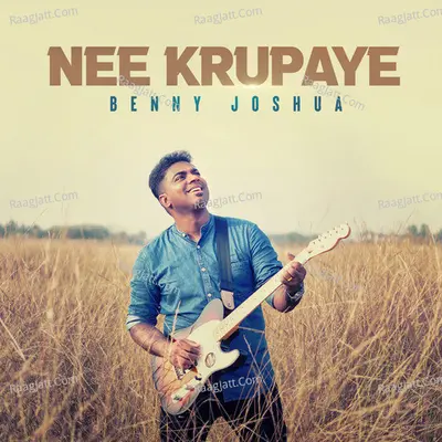 Nee Krupaye Cover