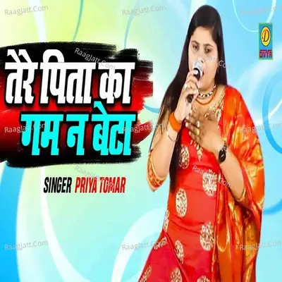 Tere Pita Ka Gam Naa Beta