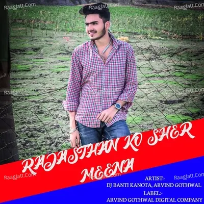 RAJASTHAN KO SHER MEENA Cover