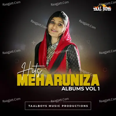 Hits Of Meharuniza Albums, Vol. 1 - Meharuniza
