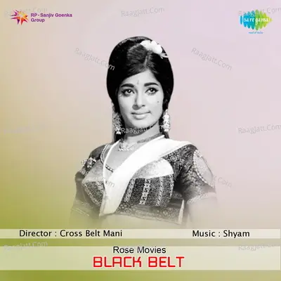 Black Belt Poster
