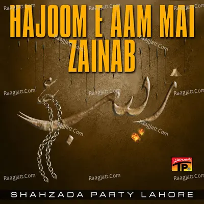 Hajoom E Aam Mai Zainab - Shahzada Party Lahore