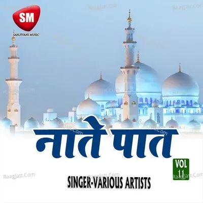 Naate Paat Vol-11 Poster