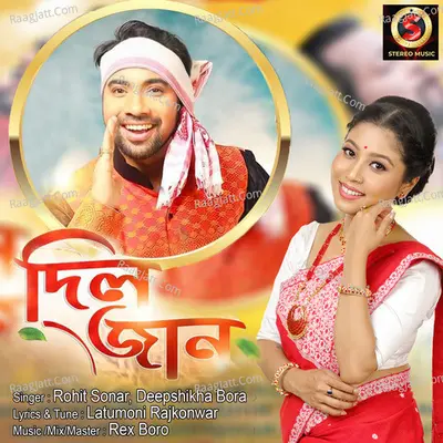 Diljaan Cover