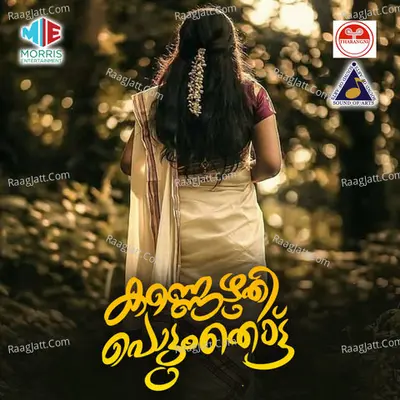 Brahma Sangeethame (From "Kannezhuthi Pottu Thottu") Cover