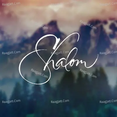 Shalom Poster