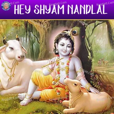 Hey Shyam Nandlal Cover