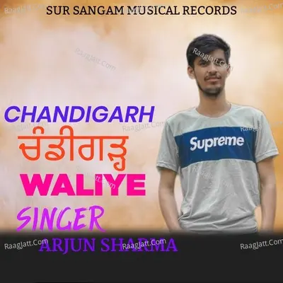 Chandigarh Waliye Cover