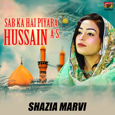 Shazia Marvi Image
