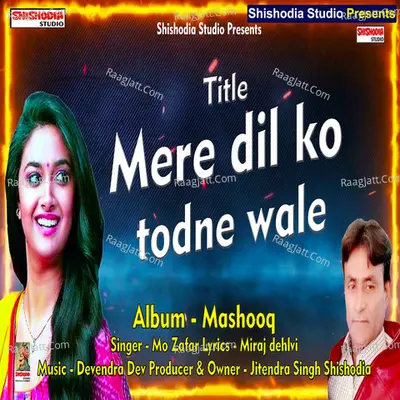 Mere dil ko todne wale Cover