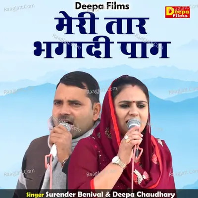 Meri taar bhagad pag