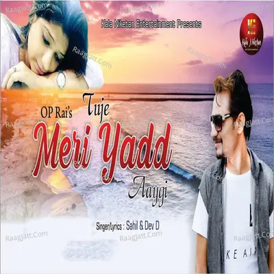 Tujhe Meri Yaad Ayegi Cover