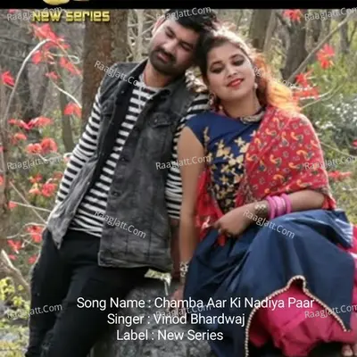 Vinod Bhardwaj Image